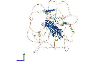 Protein Structure (PS) image for Anillin, Actin Binding Protein (ANLN) (AA 1-1124) protein (His tag) (ABIN7552249)