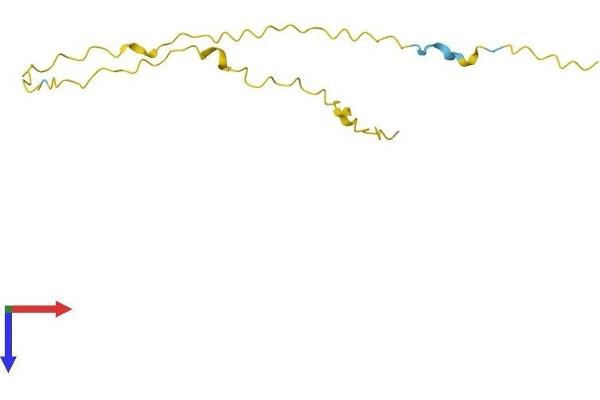G Antigen 5 Protein (GAGE5) (AA 1-117) (His tag)