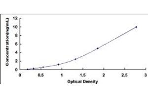 Typical standard curve (Sestrin 2 ELISA Kit)