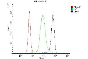 Flow Cytometry analysis of human PBMC cells using anti-CD47 antibody (ABIN6719291). (CD47 Antikörper  (AA 19-323))