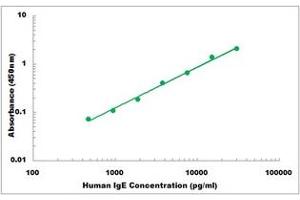 Representative Standard Curve
