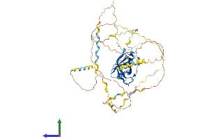 Protein Structure (PS) image for Nuclear ssembly factor 1 ribonucleoprotein (NAF1) (AA 1-489) protein (His tag) (ABIN7557233)