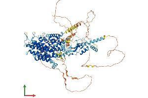 Protein Structure (PS) image for Chloride Channel 1, Skeletal Muscle (CLCN1) (AA 1-994) protein (His tag) (ABIN7563987)