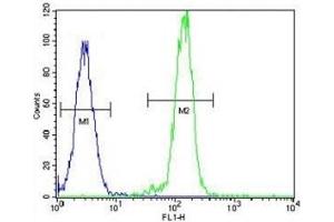 AKT2 antibody flow cytometric analysis of HeLa cells (right histogram) compared to a negative control (left histogram). (AKT2 Antikörper  (AA 93-123))