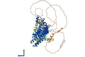 Protein Structure (PS) image for F-Box and Leucine-Rich Repeat Protein 5 (FBXL5) (AA 1-691) protein (His tag) (ABIN7553897)