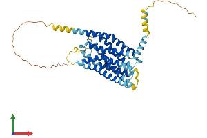 Protein Structure (PS) image for Mesothelin (MSLN) (AA 1-375) protein (His tag) (ABIN7554036)