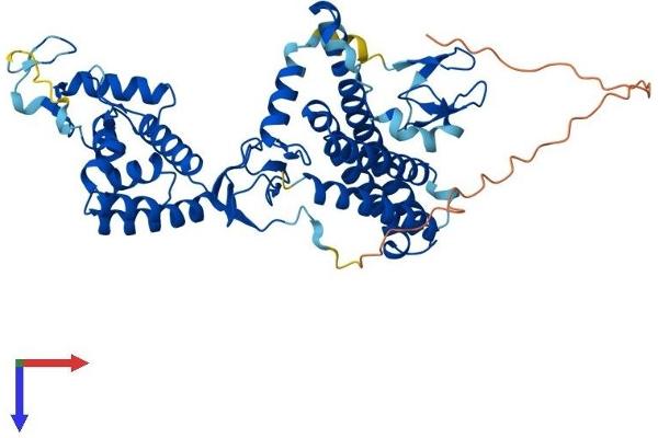 ARIH2 Protein (AA 1-492) (His tag)