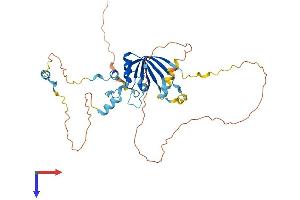 LSM11 Protein (AA 1-360) (His tag)