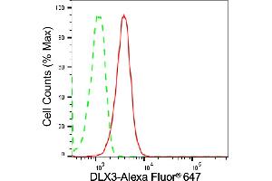 Flow cytometric analysis of DLX3 expression in C2C12 cells using DLX3 antibody (ABIN7798357), 1:(ABIN7798691). (Rekombinanter DLX3 Antikörper)