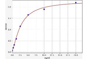 Typical standard curve (Septin 3 ELISA Kit)