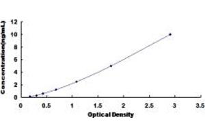 Typical standard curve (MAT2A ELISA Kit)