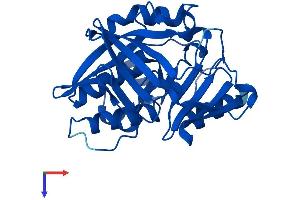 NAT1 Protein (AA 1-290) (His tag)