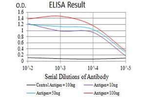ELISA image for anti-Pyrimidinergic Receptor P2Y, G-Protein Coupled, 4 (P2RY4) antibody (ABIN5611351)