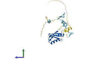 Protein Structure (PS) image for RCAN Family Member 3 (RCAN3) (AA 1-241) protein (His tag) (ABIN7551193)