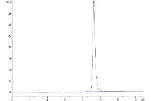 Size-exclusion chromatography-High Pressure Liquid Chromatography (SEC-HPLC) image for SARS-CoV-2 Spike (B.1.617.2 - delta), (RBD) protein (His tag) (ABIN7274458)