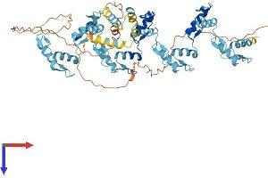 ZSCAN2 Protein (AA 1-614) (His tag)