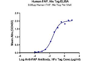 Immobilized Human FAP, His Tag at 0. (FAP Protein (His tag))