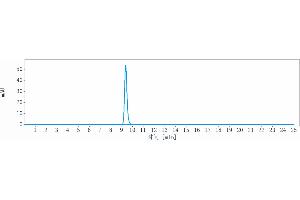anti-Hemochromatosis Type 2 (Juvenile) (HFE2) antibody