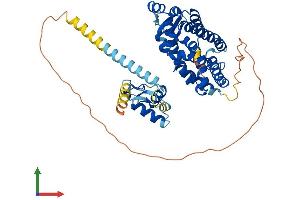 Protein Structure (PS) image for RAR-Related Orphan Receptor B (RORB) (AA 1-470) protein (His tag) (ABIN7555279)