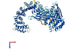 COPG2 Protein (AA 1-871) (His tag)