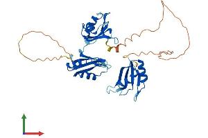 Protein Structure (PS) image for ELAV-Like 3 (ELAVL3) (AA 1-367) protein (His tag) (ABIN7547418)