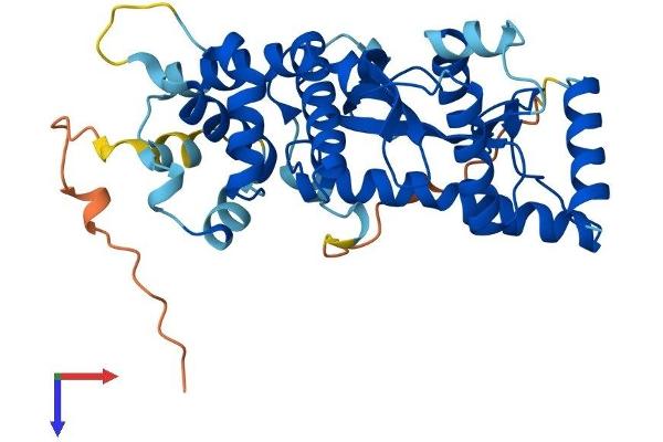 HARBI1 Protein (AA 1-349) (His tag)