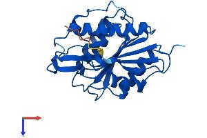 LYPLA1 Protein (AA 1-230) (His tag)