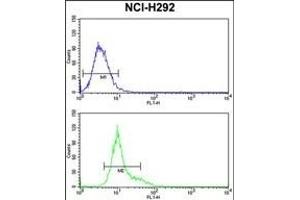 GSTO1 Antibody (Center) (ABIN389475 and ABIN2839537) flow cytometry analysis of NCI- cells (bottom histogram) compared to a negative control cell (top histogram). (GSTO1 Antikörper  (AA 126-155))