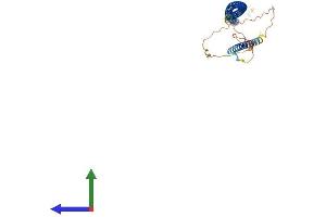 Protein Structure (PS) image for NudE Nuclear Distribution E Homolog (A. Nidulans)-Like 1 (NDEL1) (AA 1-345) protein (His tag) (ABIN7554730)
