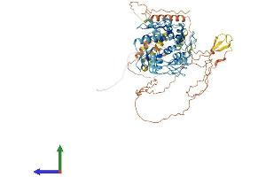 AlphaFold protein structure predicition of Human Recombinant ZNF175 Protein, UniprotID Q9Y473