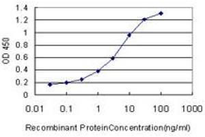 Detection limit for recombinant GST tagged DIAPH1 is approximately 0. (DIAPH1 Antikörper  (AA 921-1024))