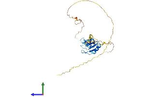 AlphaFold protein structure predicition of Mouse Recombinant Srsf10 Protein, UniprotID Q9R0U0