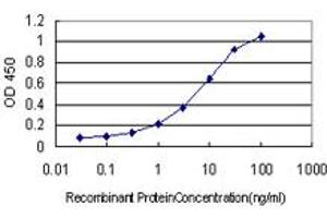 Detection limit for recombinant GST tagged IGSF8 is approximately 0. (IGSF8 Antikörper  (AA 220-322))