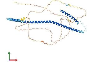 Protein Structure (PS) image for MLF1 Interacting Protein (MLF1IP) (AA 1-418) protein (His tag) (ABIN7553455)