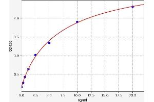Typical standard curve (Neuroligin 4 ELISA Kit)