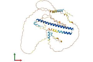 Protein Structure (PS) image for Nuclear Factor, Interleukin 3 Regulated (NFIL3) (AA 1-462) protein (His tag) (ABIN7562198)
