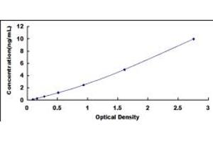 Typical standard curve (SRSF4 ELISA Kit)