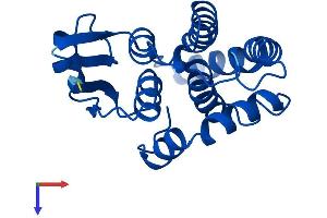 HPGDS Protein (AA 1-199) (His tag)