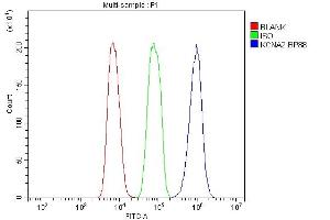 Flow Cytometry analysis of C6 cells using anti-Kv1.