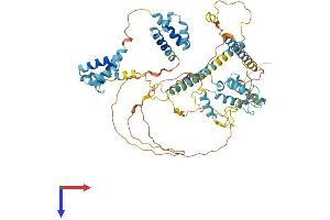 Splicing Factor 4 Protein (SF4) (AA 1-643) (His tag)