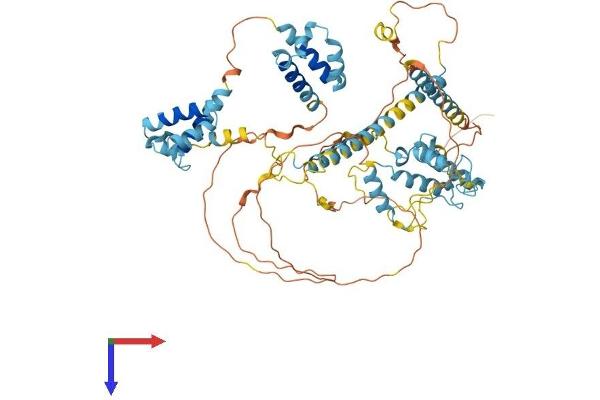 Splicing Factor 4 Protein (SF4) (AA 1-643) (His tag)