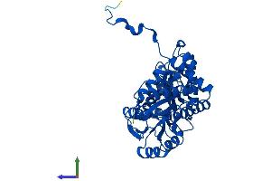 Protein Structure (PS) image for Alanine Glyoxylate Aminotransferase (AGXT) (AA 1-392) protein (His tag) (ABIN7546438)