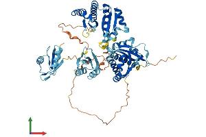 Protein Structure (PS) image for Insulin-Like Growth Factor 2 mRNA Binding Protein 2 (IGF2BP2) (AA 1-592) protein (His tag) (ABIN7563829)