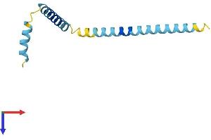 G0S2 Protein (AA 1-103) (His tag)