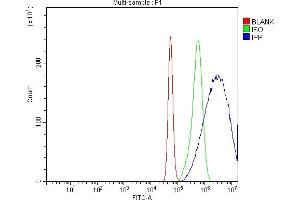 Flow Cytometry analysis of A431 cells using anti-IPP antibody (ABIN7599490).