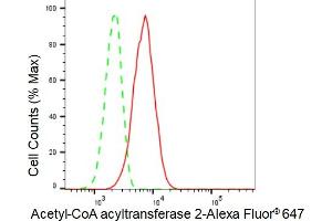 Flow cytometric analysis of Acetyl-CoA acyltransferase 2 expression in C2C12 cells using Acetyl-CoA acyltransferase 2 antibody (ABIN7797441), 1:2,000). (Rekombinanter ACAA2 Antikörper)