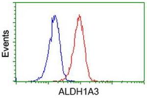 Flow Cytometry (FACS) image for anti-Aldehyde Dehydrogenase 1 Family, Member A3 (ALDH1A3) (AA 1-100), (AA 413-512) antibody (ABIN2715887) (ALDH1A3 Antikörper  (AA 1-100, AA 413-512))