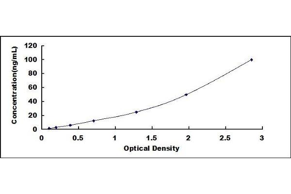 PVALB ELISA Kit