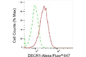 anti-2,4-Dienoyl CoA Reductase 1, Mitochondrial (DECR1) antibody