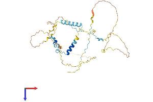 TSSC4 Protein (AA 1-329) (His tag)